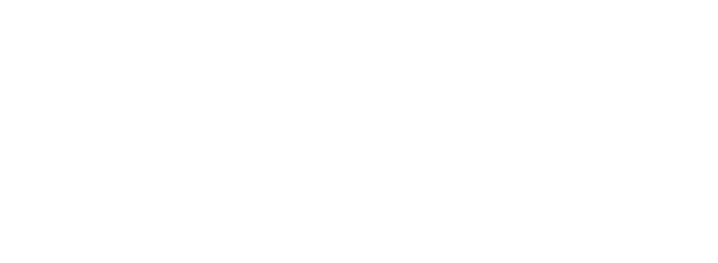 logo minyn blanco